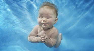 Роль навколоплідних вод