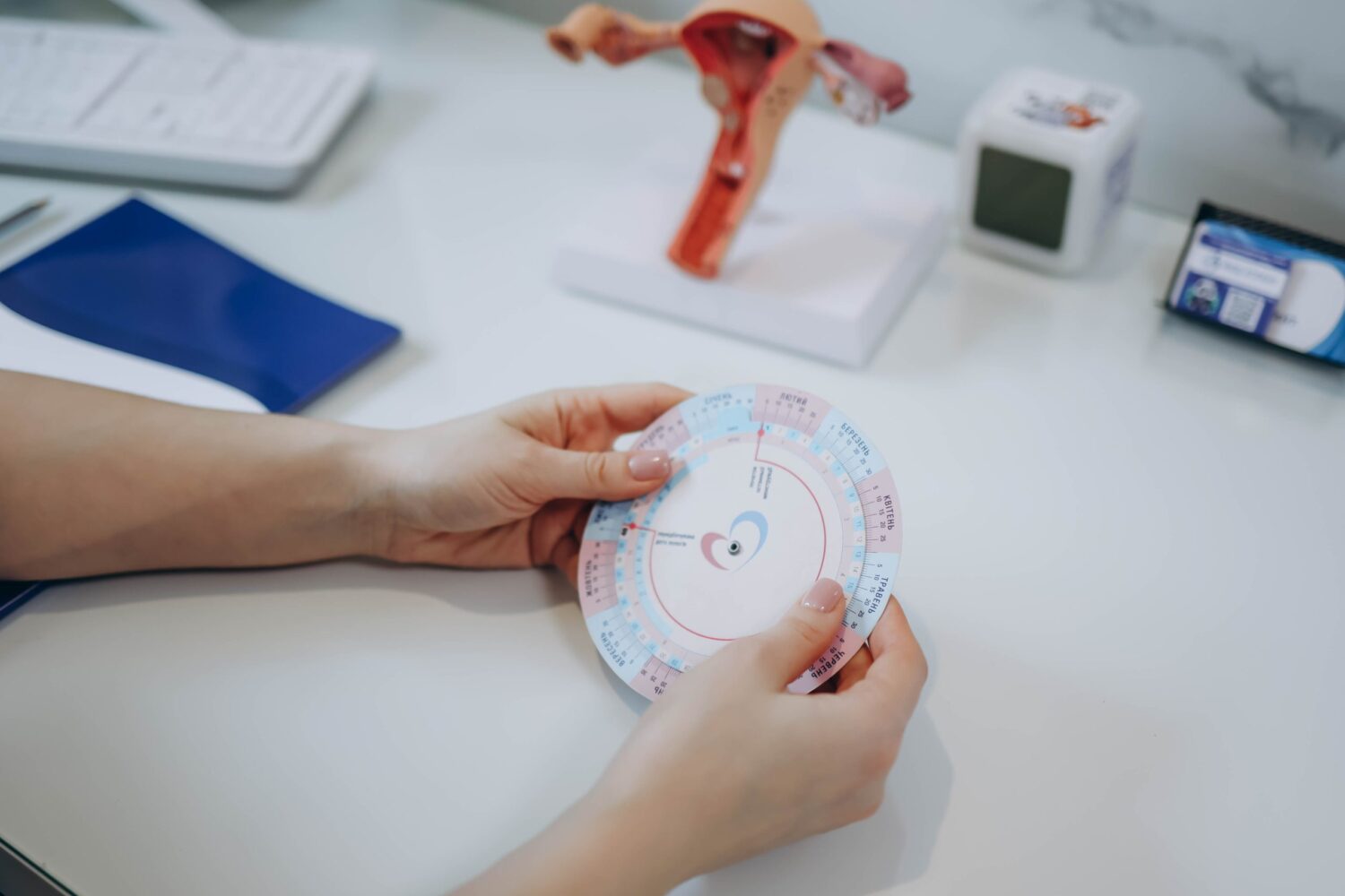 Що таке овуляція? Ознаки та Розрахунок