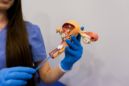 Гінекологія